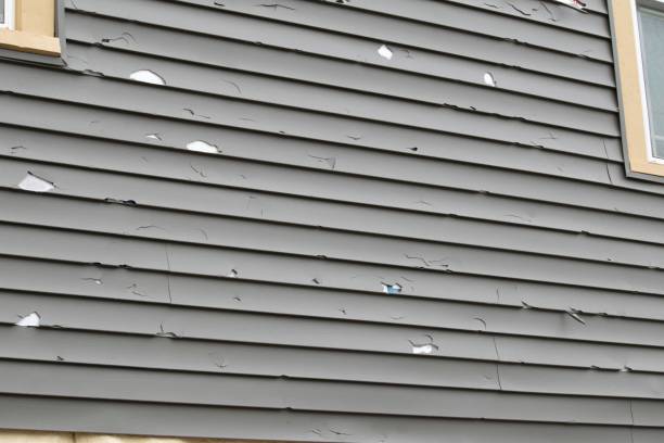 Best Same-Day Junk Removal Services  in Henderson, TX